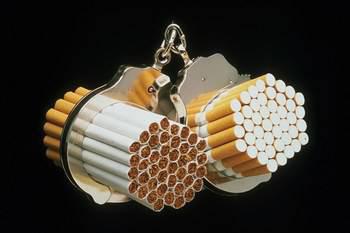 nariiiiiiiiiiii lhayatt